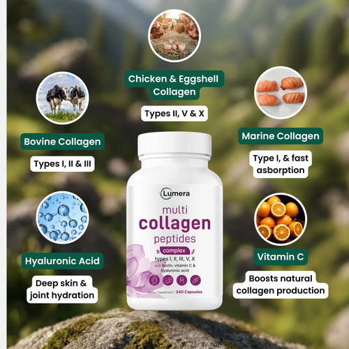 Multi Collagen Complex
