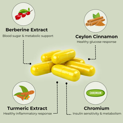 4-in-1 Berberine Complex