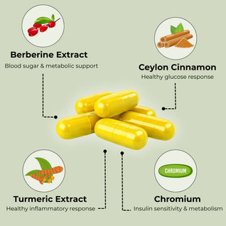 4-in-1 Berberine Complex