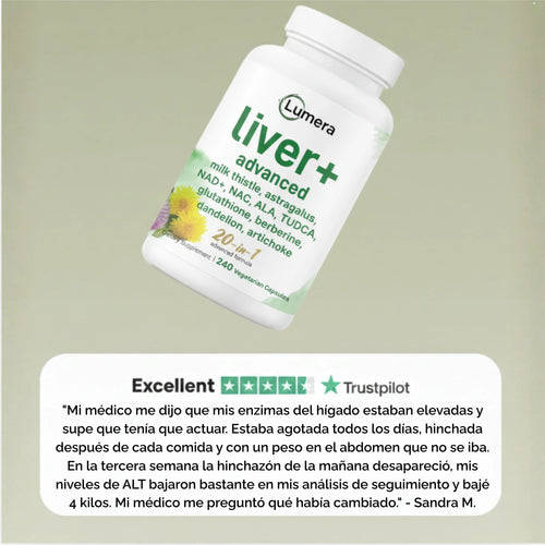 Liver+ Avanzado