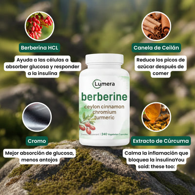 Complejo De Berberina 4 En 1